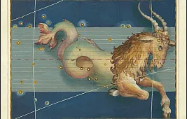 Созвездие Козерога на небе