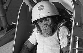 Запуск обезьян в космос