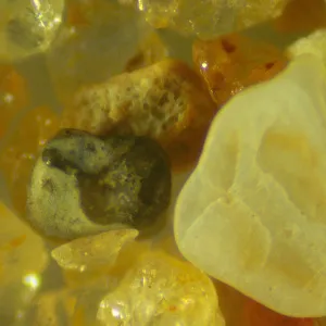 Микроскоп стереоскопический MAGUS Stereo 9T, изображение 21