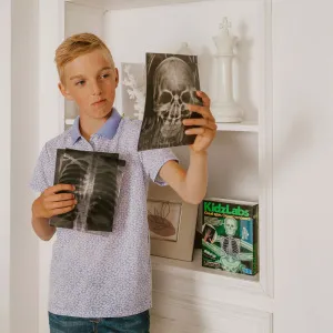 Набор 4M 00-03375 «Юный врач. Скелет человека», изображение 5