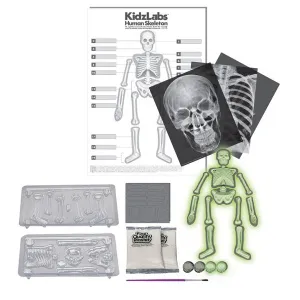 Набор 4M 00-03375 «Юный врач. Скелет человека», изображение 2