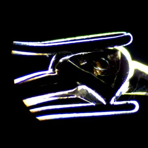 Микроскоп стереоскопический MAGUS Stereo 7T, изображение 18