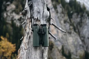 Бинокль-дальномер SWAROVSKI EL Range TA 8x42, изображение 5