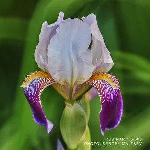 Объектив фотографический МС Рубинар 4,5/300 Макро, изображение 6