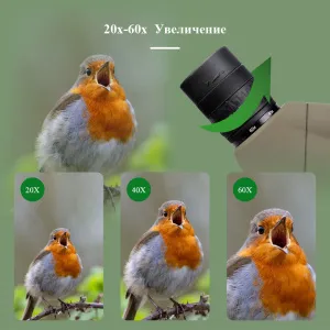 Зрительная труба SVBONY SV401 20–60x80 WP со штативом, изображение 4