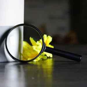 Лупа ручная Levenhuk Zeno Handy ZH5, изображение 12