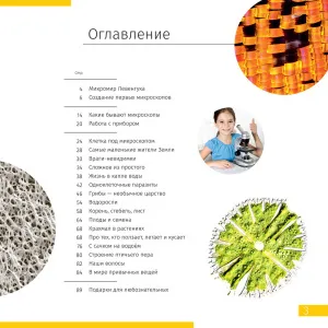 Микроскоп цифровой Levenhuk Discovery Nano Polar с книгой, изображение 4