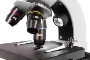 Микроскоп цифровой Levenhuk Discovery Nano Polar с книгой, изображение 11