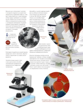 «Удивительный микроскоп: иллюстрированный путеводитель», Мазур О.Ч., изображение 3