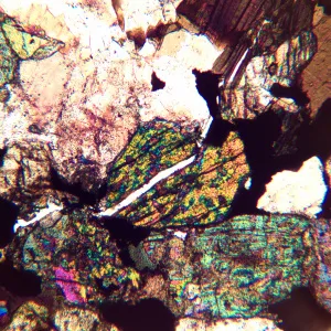 Микроскоп поляризационный MAGUS Pol 890, изображение 3