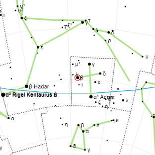 Звезда Мимоза, или Бекрукс: характеристики и особенности